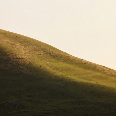 Grassy Hill in Golden Sunlight