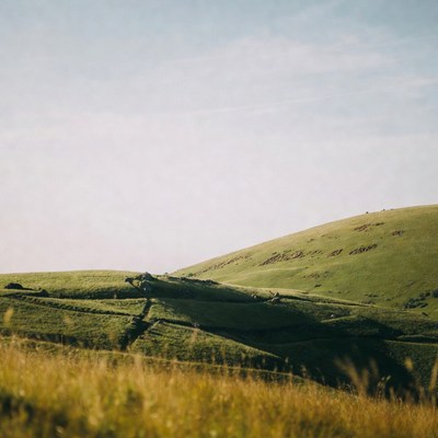 Green rolling hills landscape