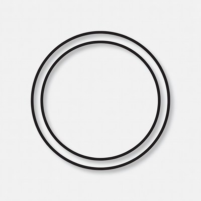 Double Circle Outline Icon