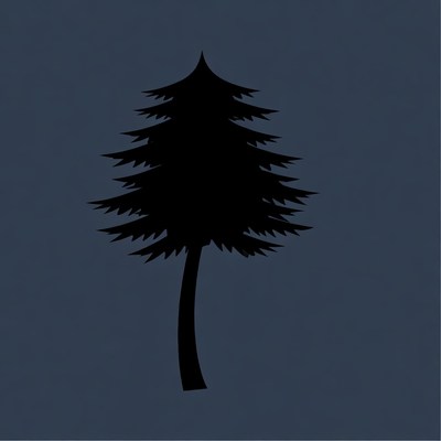 Black silhouette pine tree