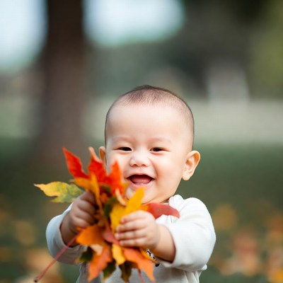 Asian baby holding autumn leaves