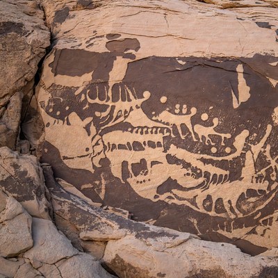 Ancient Petroglyphs on Desert Rock