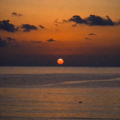 Sunset over calm ocean