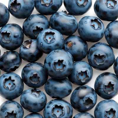 Fresh Blueberries on White Background