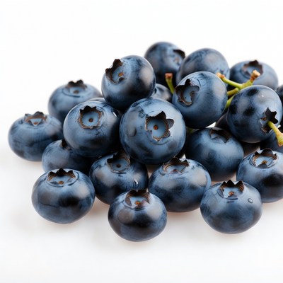 Fresh Blueberries on White Background