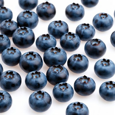 Fresh blueberries on white background