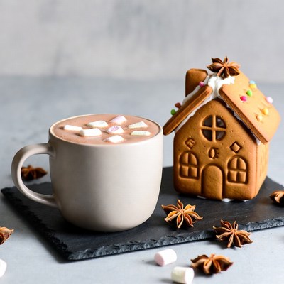 Hot Chocolate with Gingerbread House