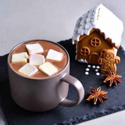 Hot Chocolate with Marshmallows and Gingerbread House
