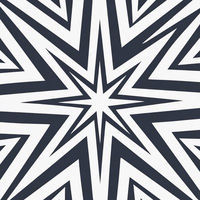 Black and White Starburst Pattern