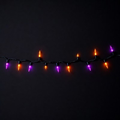 Orange Purple Halloween Lights String