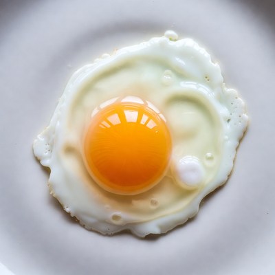 Fried Egg on White Plate
