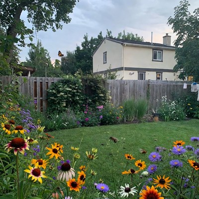 Colorful Garden with Butterflies and House