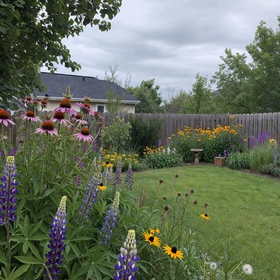 Vibrant Garden with Lupines and Coneflowers