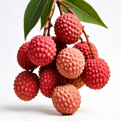 Fresh Lychee Fruit Cluster with Leaves