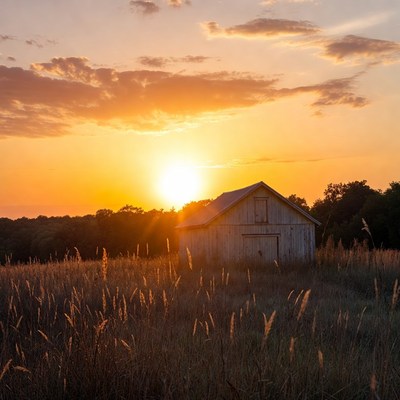 Barn in golden sunset field