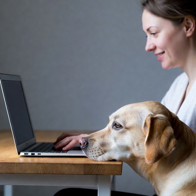 Woman working on laptop with golden retriever