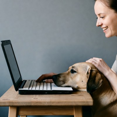 Woman working on laptop with dog