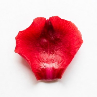 Red Rose Petal