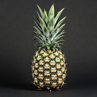Fresh Pineapple on Black Background