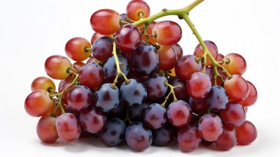 Red and Purple Grapes Bunch