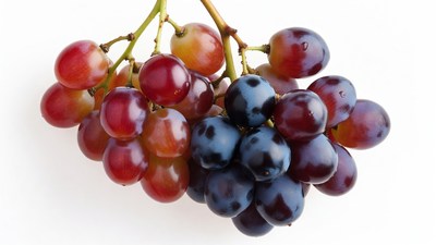 Red and Black Grapes Cluster