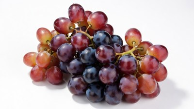 Red and Purple Grapes Bunches