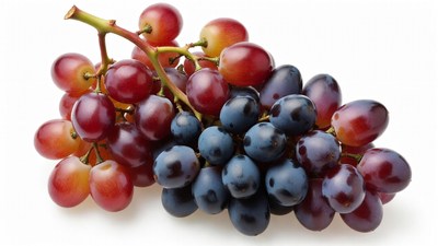 Red and Purple Grapes Bunches