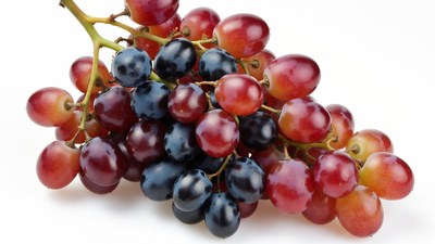 Bunch of red and black grapes