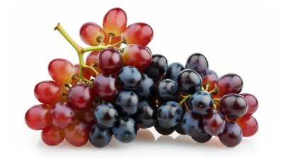 Red and Black Grapes Cluster