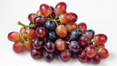 Bunch of red and purple grapes
