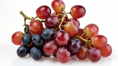 Red and Black Grapes Bunch