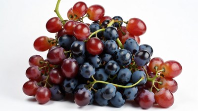 Red and Blue Grapes Bunch