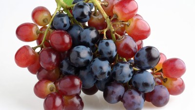 Red and Blue Grapes Cluster