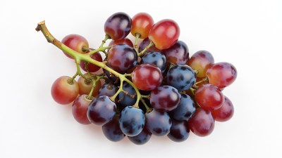 Bunch of red and black grapes