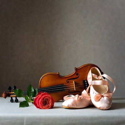 Violin with Pink Ballet Slippers and Red Rose