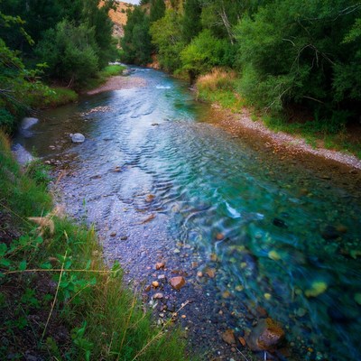 Clear turquoise river in green forest