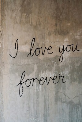 I Love You Forever on Wall