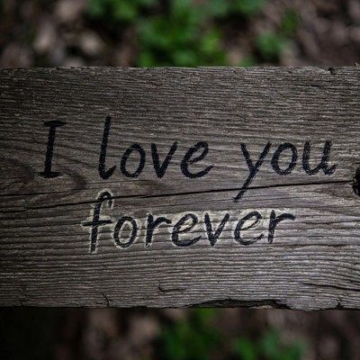 I Love You Forever wooden sign