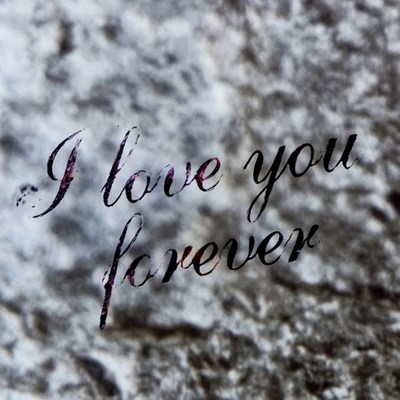 I Love You Forever Text