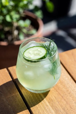 Cucumber Dill Cocktail in Glass