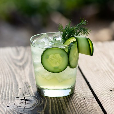 Cucumber Gimlet Cocktail with Dill