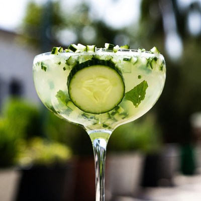 Cucumber Mint Martini Glass