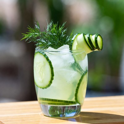 Cucumber Gimlet Cocktail with Fresh Garnish