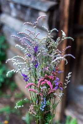 Colorful Wildflowers Against Wooden Wall
