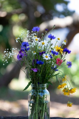 Colorful wildflowers in glass jar
