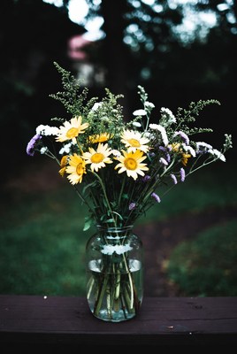 Yellow Daisies in Glass Jar