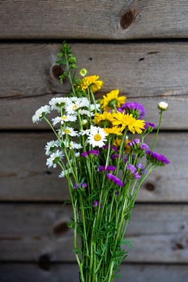 Colorful wildflower bouquet against wood wall