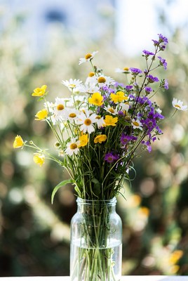 Daisies and Lilacs in Glass Jar