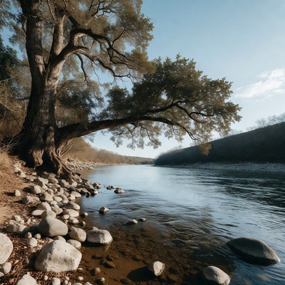 Large Tree by River Shore