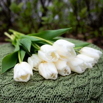 White Tulips Bouquet on Green Cushion